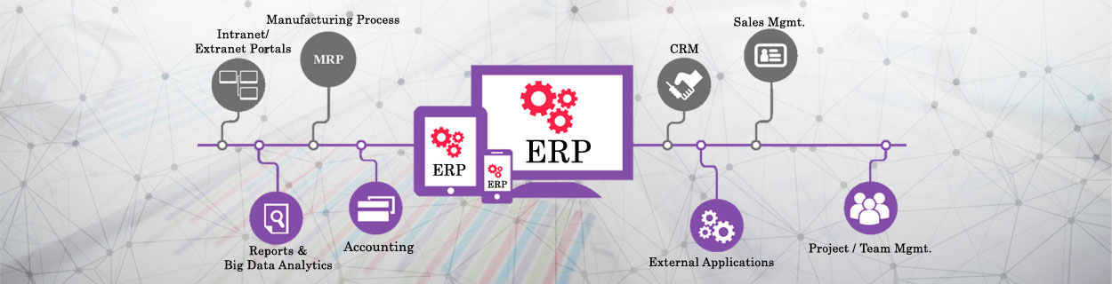 CRM, ERP developent, Web based application developement, Enterprise resource planning (ERP) software